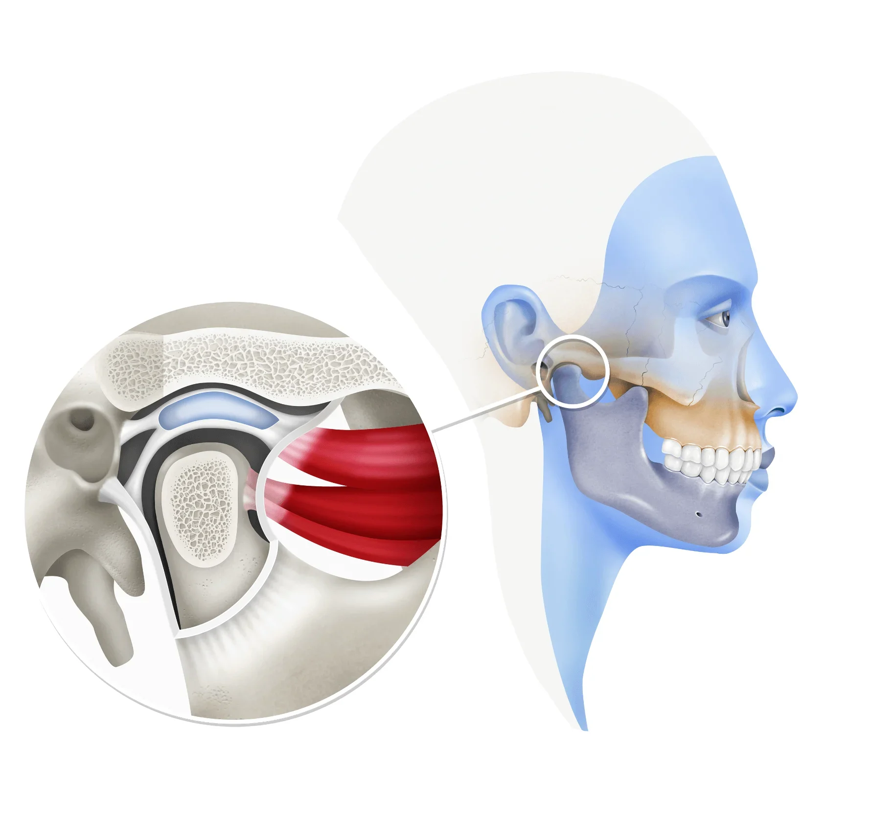 Ortodoncia con Brackets en Barcelona